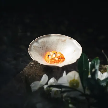 Nh Collection Grand Palazzo Dei Dogi 5*